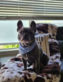 Happy Pet Parent, happy guest